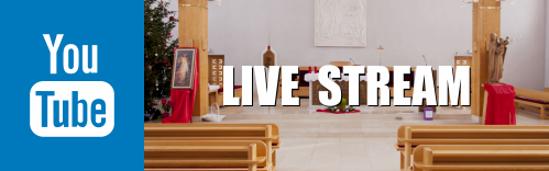  YouTube live stream kanal