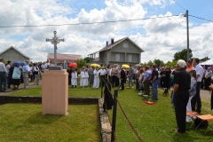blagoslovpolja29
