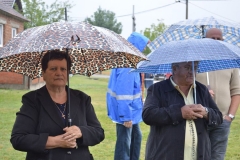 blagoslovpolja17