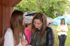 blagoslovpolja19