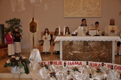 danredovnika11