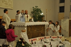 danredovnika25