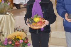 danikruha45
