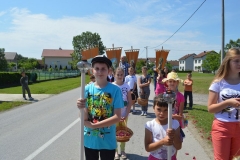 tijelovo41