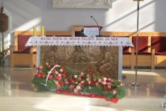 zalosnagospa22